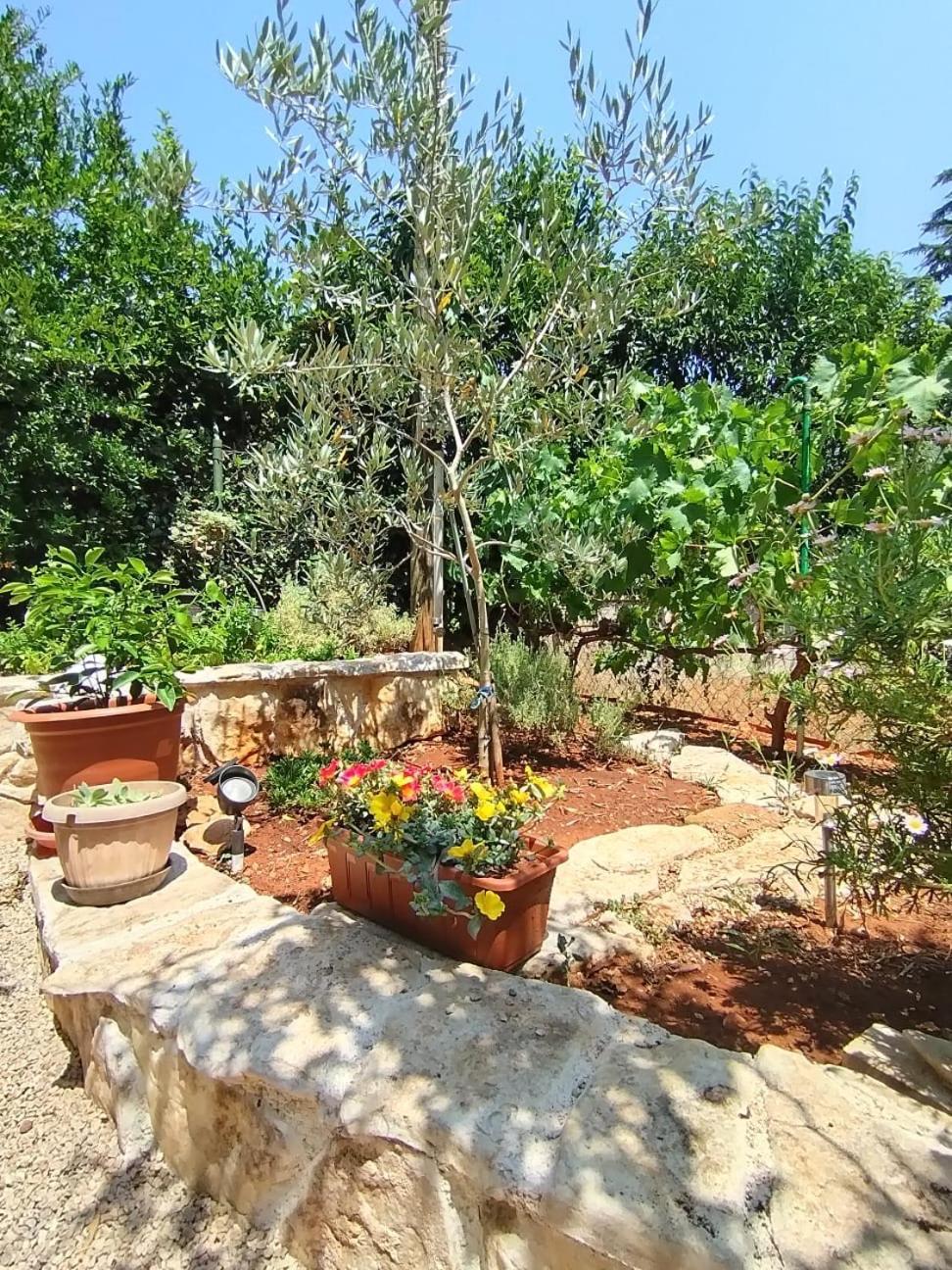 Appartement Mihaela