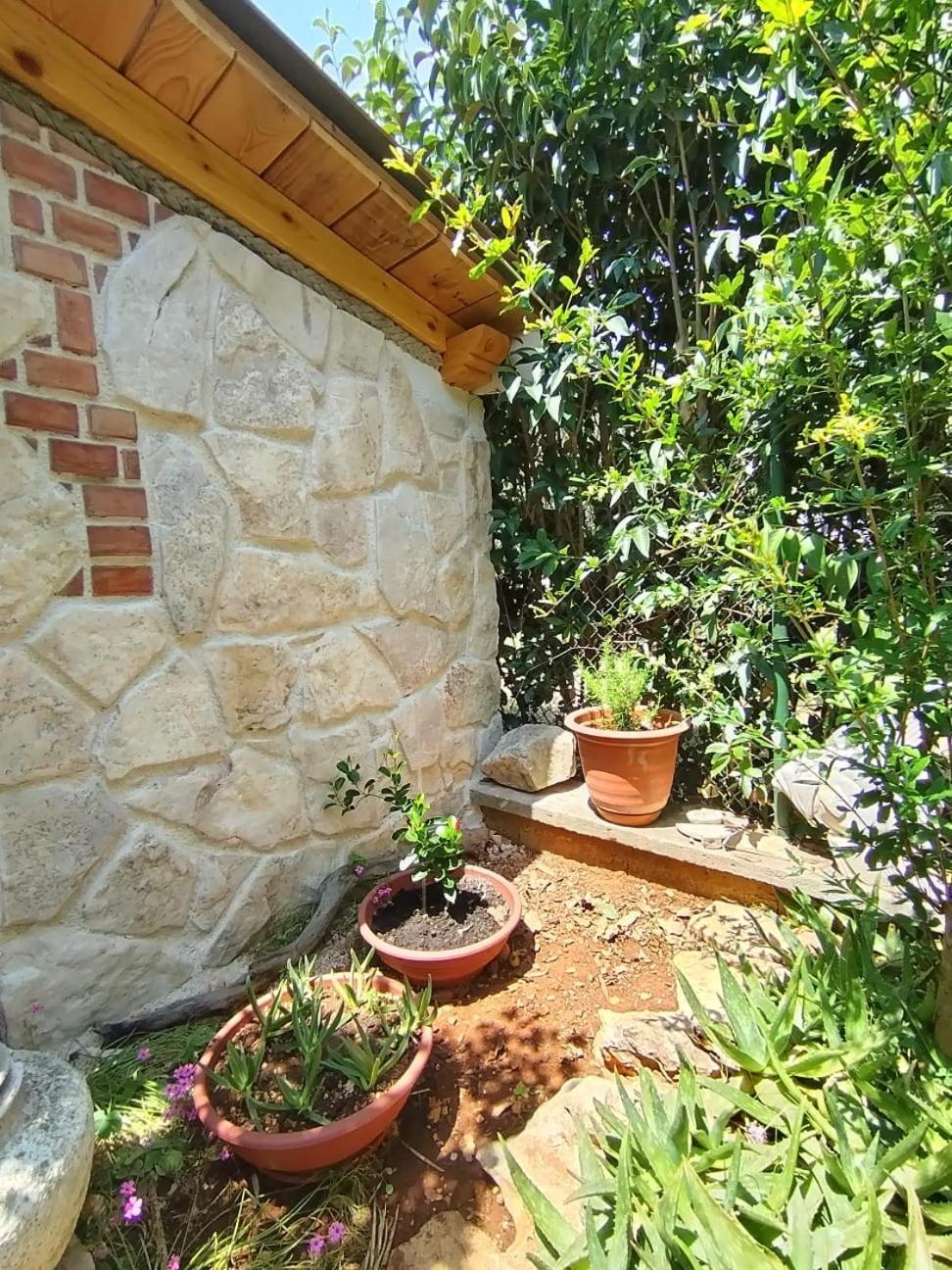 Mihaela Apartament *